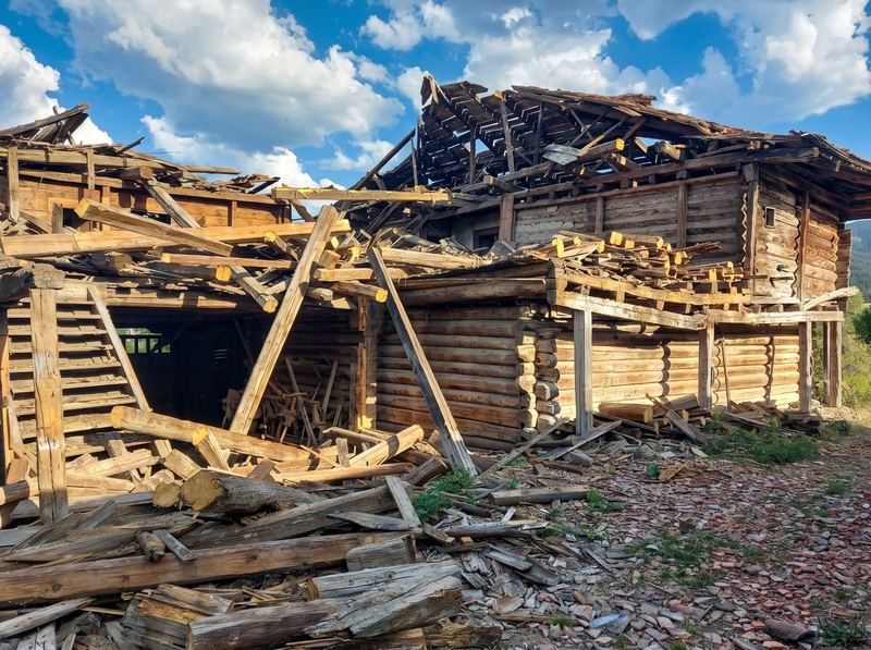 Çatısı çökmüş, yıkılmak üzere olan eski ahşap Karadeniz evi